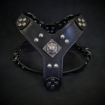 Le Harnais Eros tout Noir
