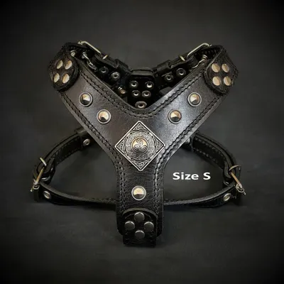 Bestia Custom Dog Gear - Le harnais Eros noir et noir