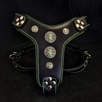 Le harnais Bijou Noir & Vert Taille Petite à Moyenne