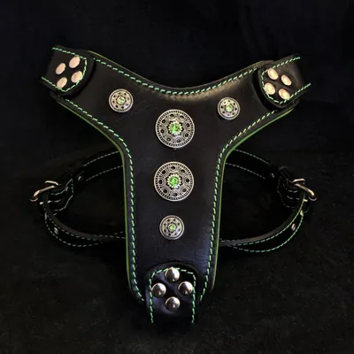 Le harnais Bijou Noir & Vert Taille Petite à Moyenne Le harnais Bijou Noir & Vert Taille Petite à Moyenne