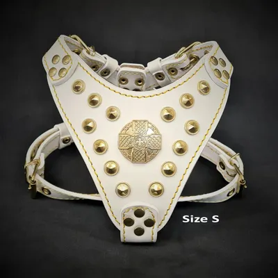 Le harnais Maximus Blanc & Or de taille petite à moyenne Le harnais Maximus Blanc & Or de taille petite à moyenne
