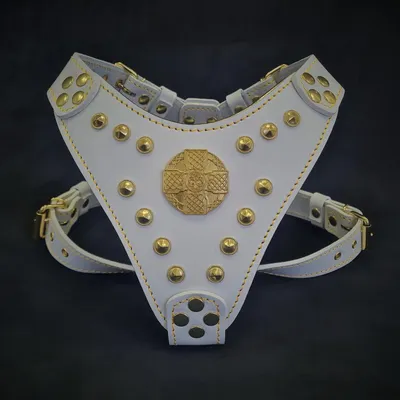 Le harnais Maximus Blanc & Or de taille petite à moyenne Le harnais Maximus Blanc & Or de taille petite à moyenne