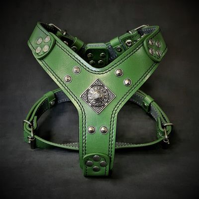Le harnais Eros Vert Petit à Moyen