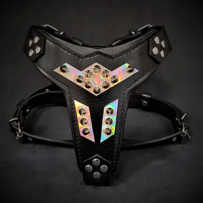 Bestia Custom Dog Gear - Le harnais Midas Argent Bestia Custom Dog Gear - Le harnais Midas Argent