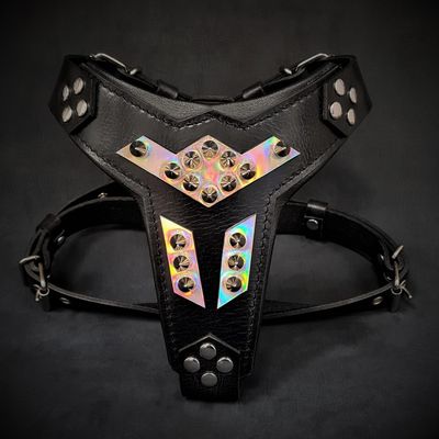 Harnais pour chien en cuir Midas argenté taille moyenne