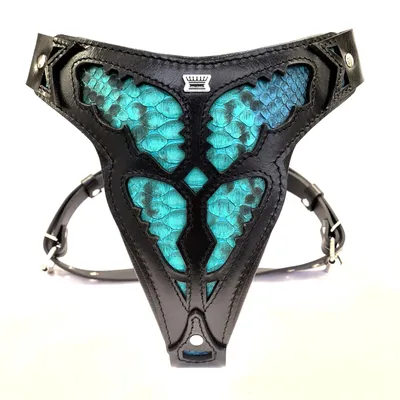 Bestia Custom Dog Gear - Le harnais Morelia Python Bestia Custom Dog Gear - Le harnais Morelia Python