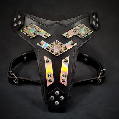 Harnais pour chien en cuir Midas argenté taille moyenne