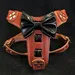 Bowtie Geschirr in Braun