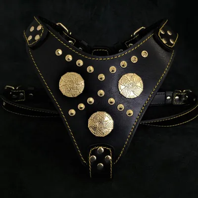 Le harnais Maximus noir & or Le harnais Maximus noir & or