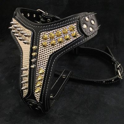 Harnais Platinum Taille Moyenne