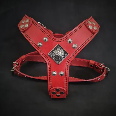 Le harnais Eros rouge de petite à moyenne taille Le harnais Eros rouge de petite à moyenne taille
