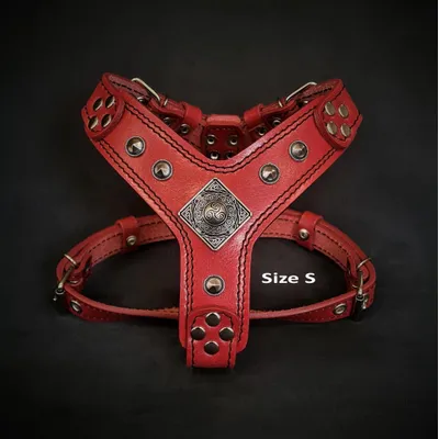 Le harnais Eros rouge de petite à moyenne taille Le harnais Eros rouge de petite à moyenne taille