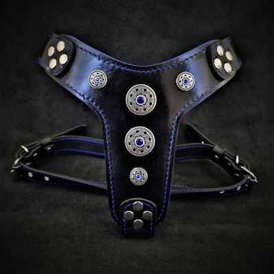 Le harnais Bijou Noir & Bleu Taille Petite à Moyenne
