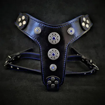 Le harnais Bijou Noir & Bleu Taille Petite à Moyenne Le harnais Bijou Noir & Bleu Taille Petite à Moyenne
