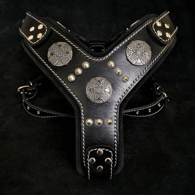 Le harnais argent Maximus