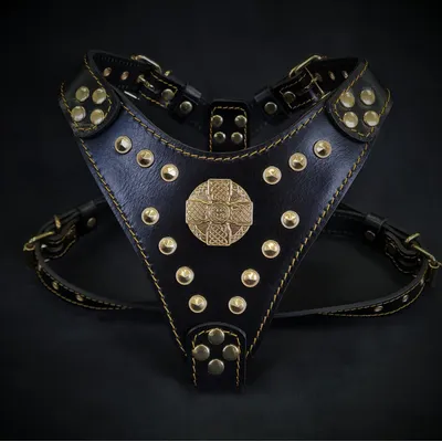 Bestia Custom Dog Gear - Le harnais Maximus noir et or