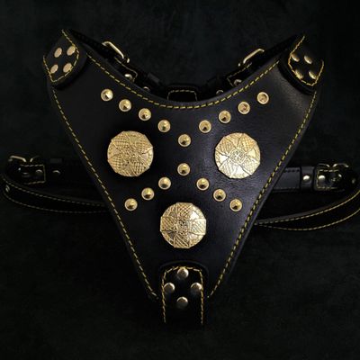 Le harnais Maximus noir & or