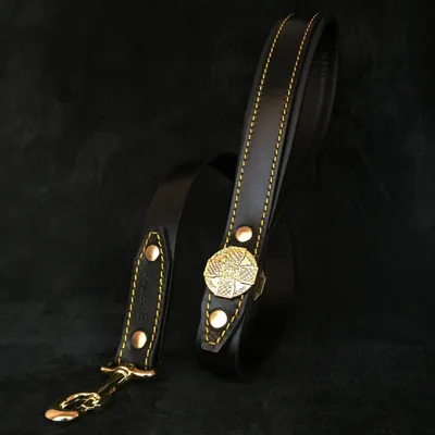 Le harnais Maximus noir & or Le harnais Maximus noir & or