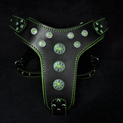 Le harnais Bijou Noir & Vert Taille Petite à Moyenne