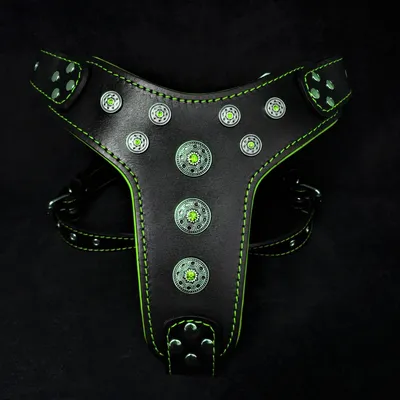Bestia Custom Dog Gear - Harnais Bijou Noir et Vert Bestia Custom Dog Gear - Harnais Bijou Noir et Vert