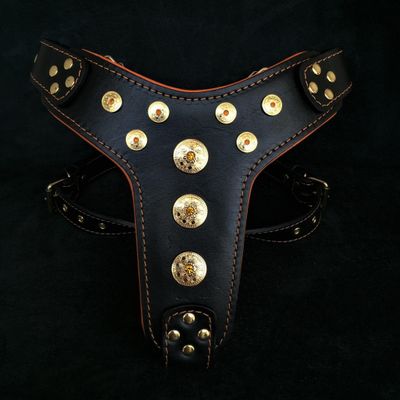 Bijou harness Black & Orange for big dogs