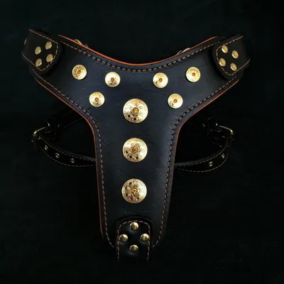 Bijou harness Black & Orange for big dogs Bijou harness Black & Orange for big dogs