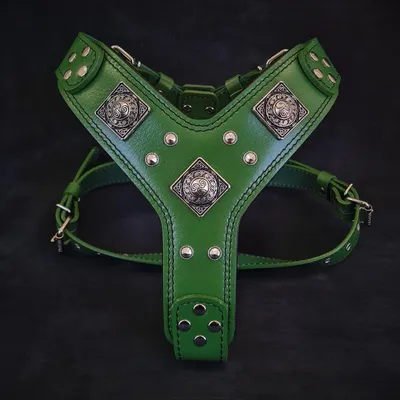 Le harnais Eros VERT Le harnais Eros VERT