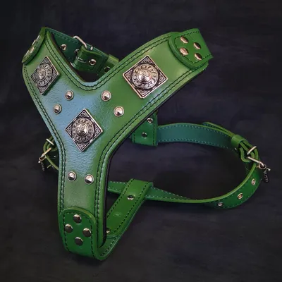 Le harnais Eros Vert Petit à Moyen Le harnais Eros Vert Petit à Moyen