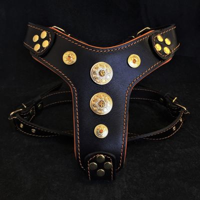 Bijou harness Black & Orange for big dogs