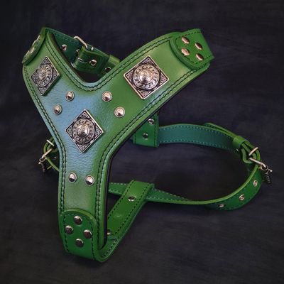 Le harnais Eros Vert Petit à Moyen