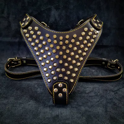 Bestia Custom Dog Gear - Harnais Gladiator Or