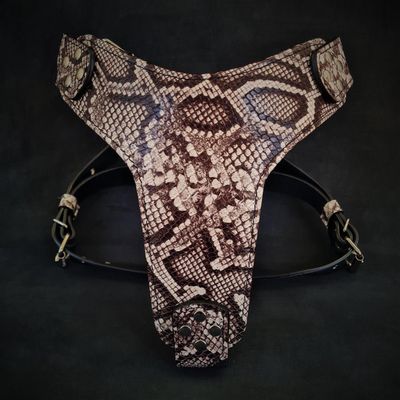 Le harnais Rock Python