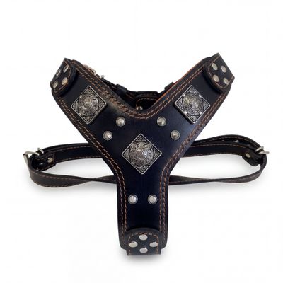Le harnais Eros Noir & Orange Taille Petit à Moyen