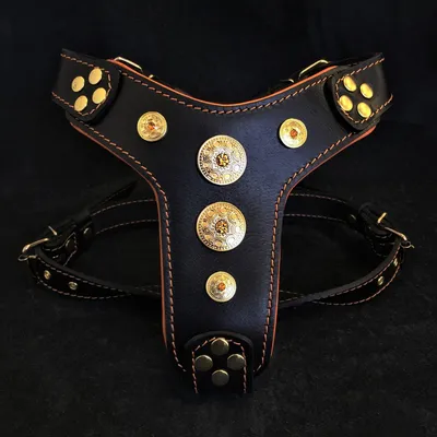 Bestia Custom Dog Gear - Harnais Bijou Noir et Orange Bestia Custom Dog Gear - Harnais Bijou Noir et Orange