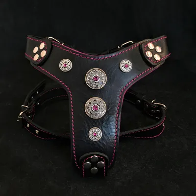 Geschirr Bijou in Schwarz und Pink für große Hunde