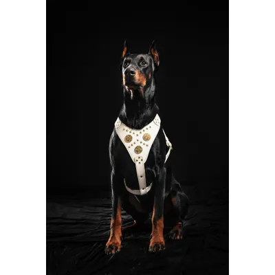 Maximus Brustgeschirr Maximus Brustgeschirr