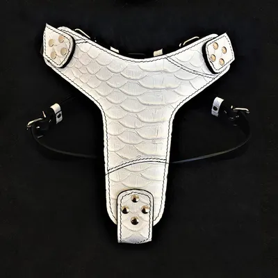 Bestia Custom Dog Gear - Le harnais Dragon Scale Bestia Custom Dog Gear - Le harnais Dragon Scale