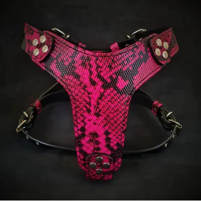 Bestia Custom Dog Gear - Harnais Rose Rock Python Bestia Custom Dog Gear - Harnais Rose Rock Python