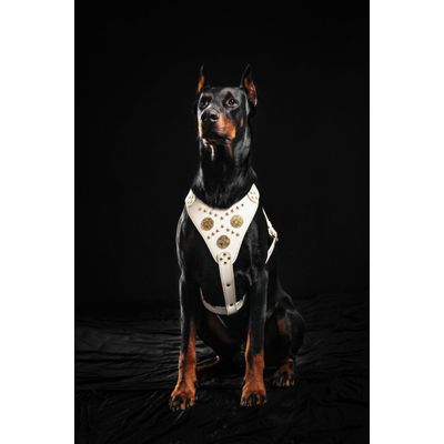 Maximus Brustgeschirr