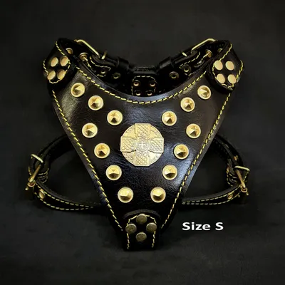 Bestia Custom Dog Gear - Le harnais Maximus noir et or
