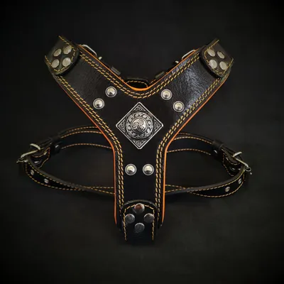 Bestia Custom Dog Gear - Le harnais Eros noir et orange Bestia Custom Dog Gear - Le harnais Eros noir et orange