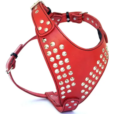 Bestia Custom Dog Gear - Harnais Star Rouge