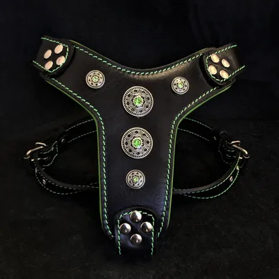 Bestia Custom Dog Gear - Harnais Bijou Noir et Vert