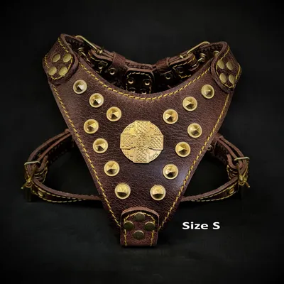 Bestia Custom Dog Gear - Le harnais Maximus marron et or