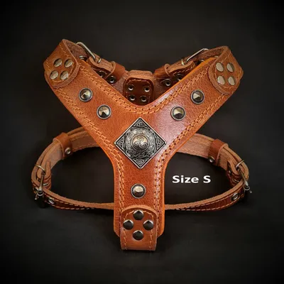 Bestia Custom Dog Gear - Harnais Eros Marron Bestia Custom Dog Gear - Harnais Eros Marron