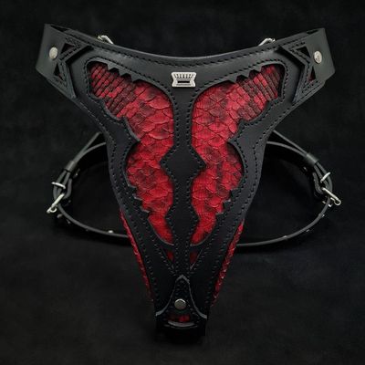 Das Red Dragon-Geschirr