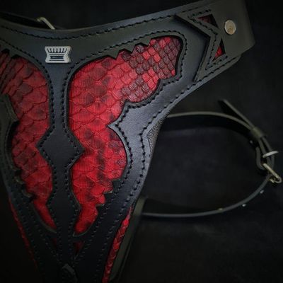 Das Red Dragon-Geschirr