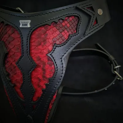 Das Red Dragon-Geschirr