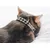 French Bandit - Collier pour chat vichy