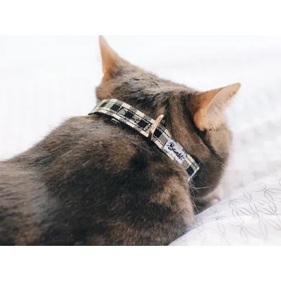 French Bandit - Collier pour chat vichy